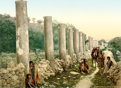Roman colonnaded street at Samaria by Swiss Photographer